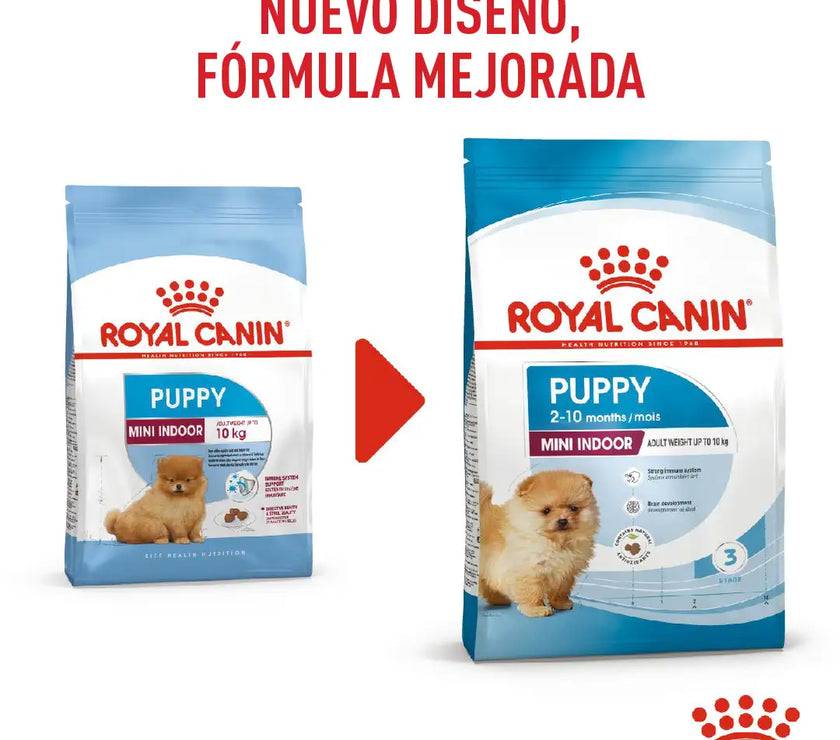 Alimento Royal Canin Shn Mini Indoor Puppy 1.5Kg
