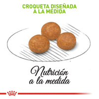 Comida Para Perro Royal Canin Shn X-Small Adulto
