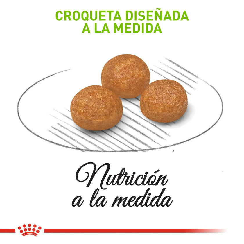 Comida Para Perro Royal Canin Shn X-Small Adulto