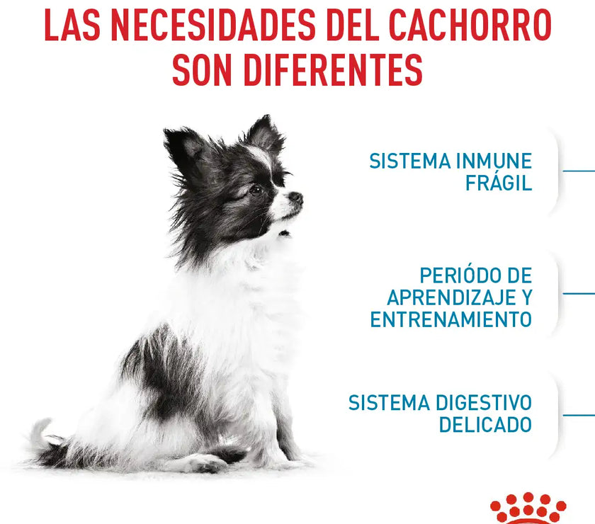 Alimento Royal Canin Shn X-Small Puppy 1.5 Kg