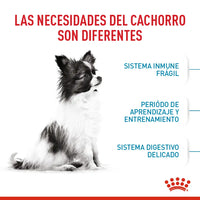 Alimento Royal Canin Shn X-Small Puppy 1.5 Kg