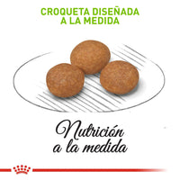 Comida Para Perro Royal Canin Shn X-Small Adulto  8+ 1.5 Kg