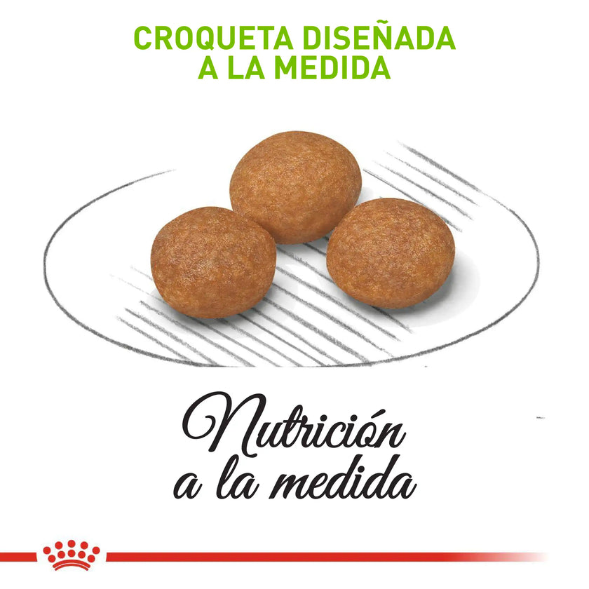 Comida Para Perro Royal Canin Shn X-Small Adulto  8+ 1.5 Kg