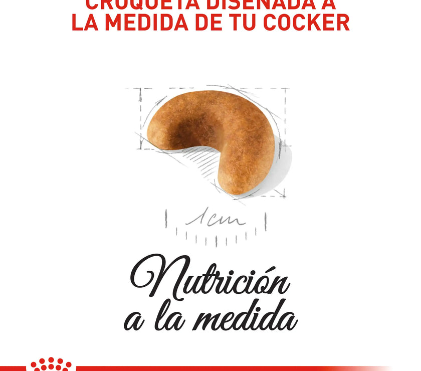 Alimento Royal Canin Bhn Cocker Puppy x 3 Kg