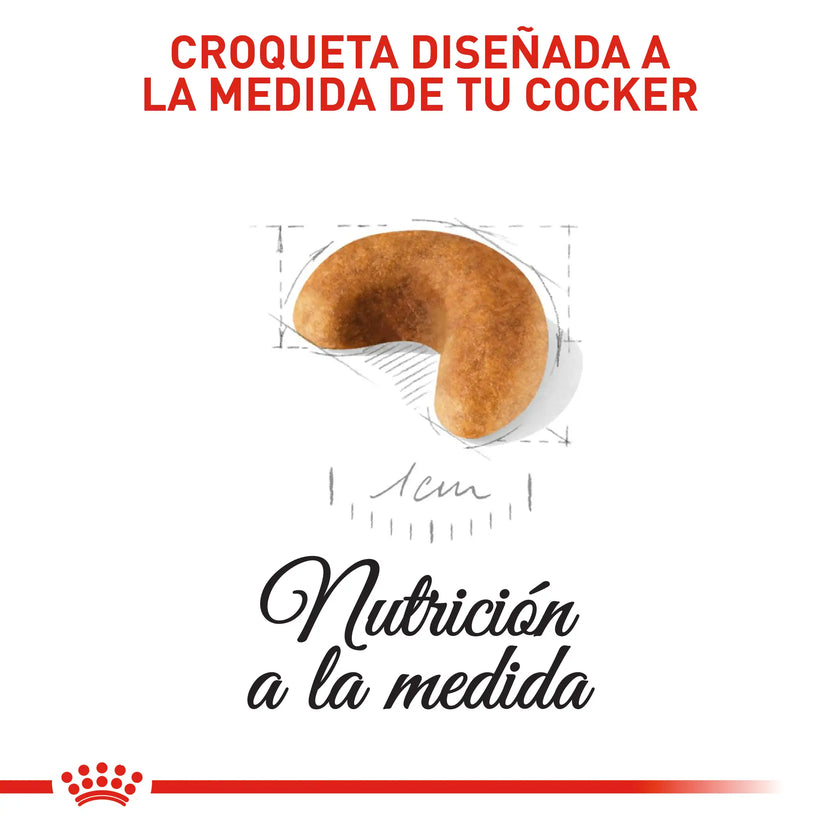 Alimento Royal Canin Bhn Cocker Puppy x 3 Kg