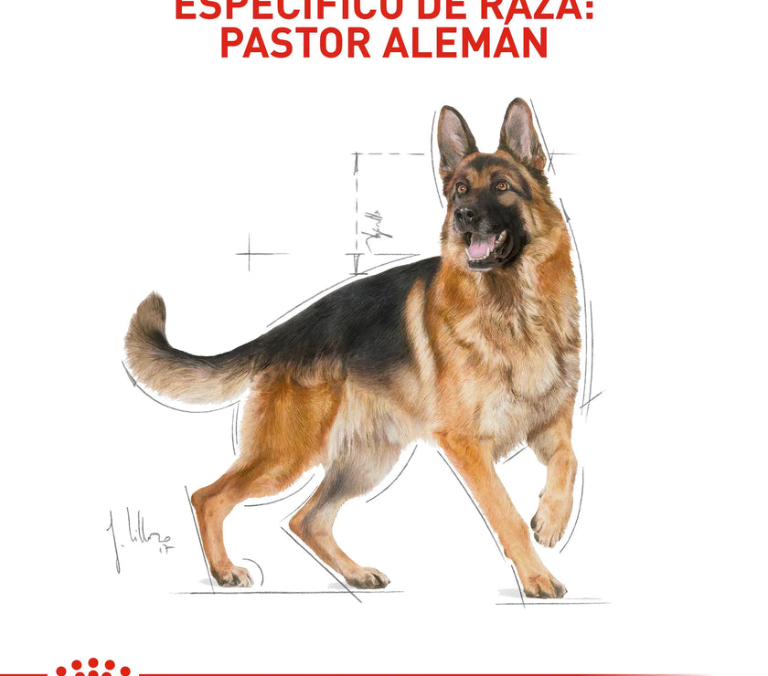 Alimento Royal Canin Bhn German Shepherd Adulto x 13.6 Kg