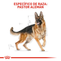 Alimento Royal Canin Bhn German Shepherd Adulto x 13.6 Kg
