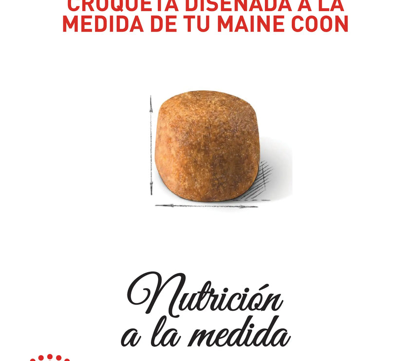 Alimento Royal Canin Fbn Maine Coon Kitten 4 Kg