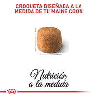 Alimento Royal Canin Fbn Maine Coon Kitten 4 Kg