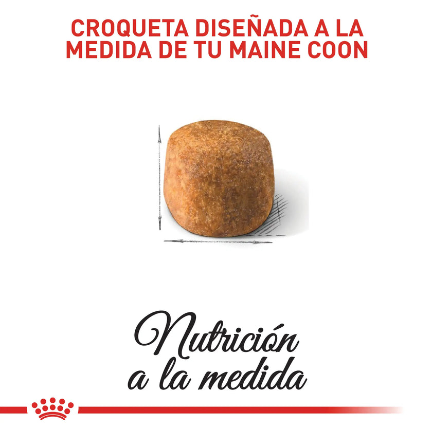 Alimento Royal Canin Fbn Maine Coon Kitten 4 Kg