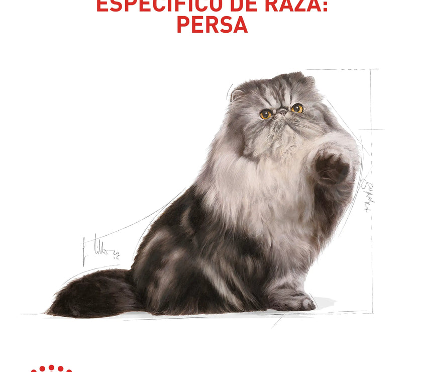 Alimento Royal Canin Fbn Persian Adulto