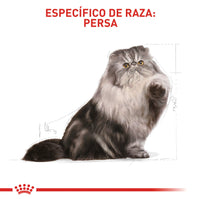 Alimento Royal Canin Fbn Persian Adulto