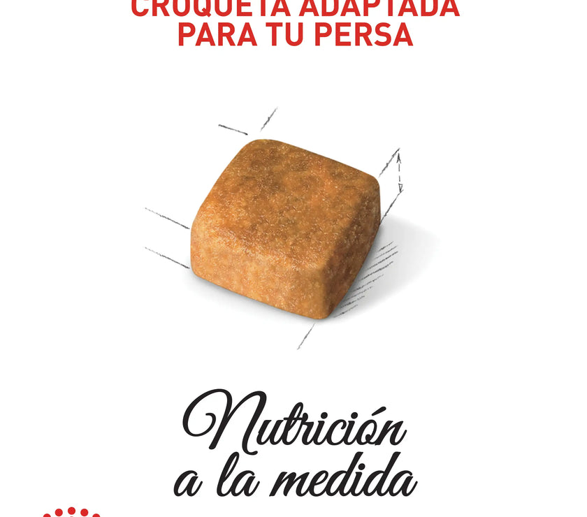 Alimento Royal Canin Fbn Persian Kitten 2 Kg