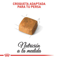 Alimento Royal Canin Fbn Persian Kitten 2 Kg