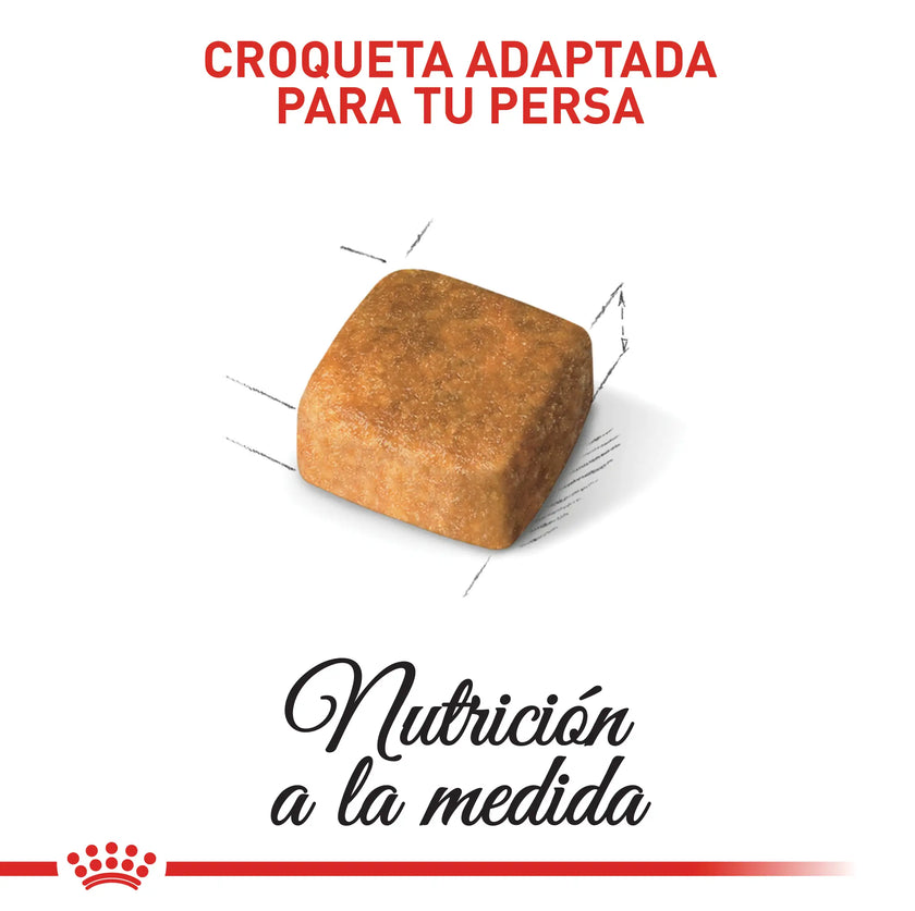 Alimento Royal Canin Fbn Persian Kitten 2 Kg