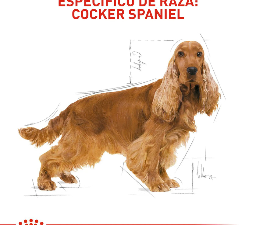 Alimento Royal Canin Bhn Cocker Adulto x 3 Kg