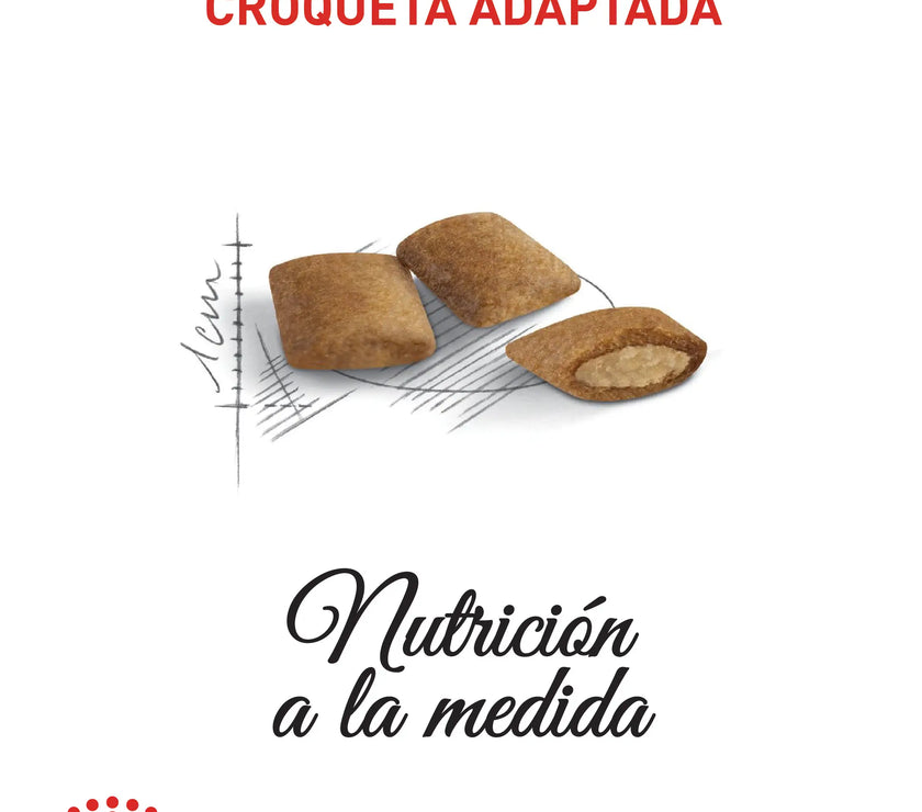 Alimento Royal Canin Fhn Ageing 12+ 2Kg