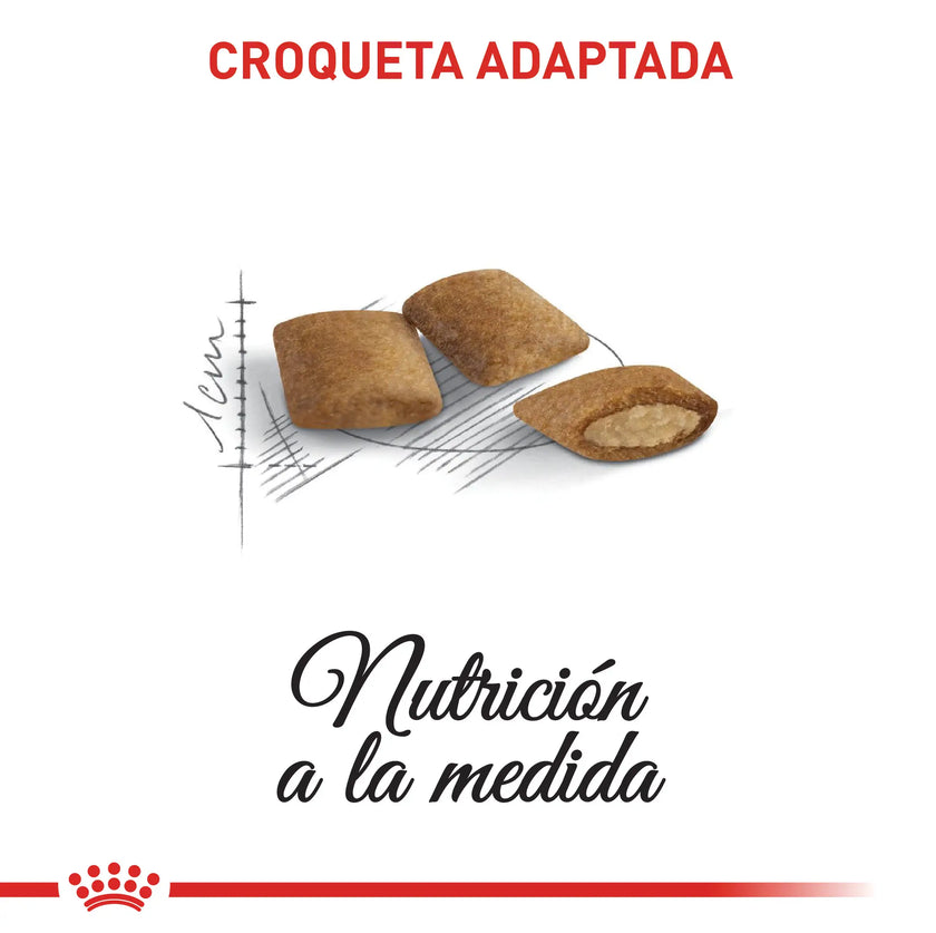 Alimento Royal Canin Fhn Ageing 12+ 2Kg