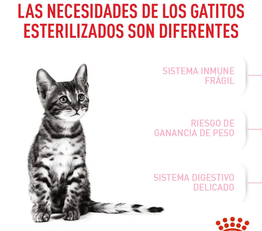 Alimento Royal Canin Fhn Kitten Esterilizado