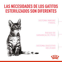 Alimento Royal Canin Fhn Kitten Esterilizado
