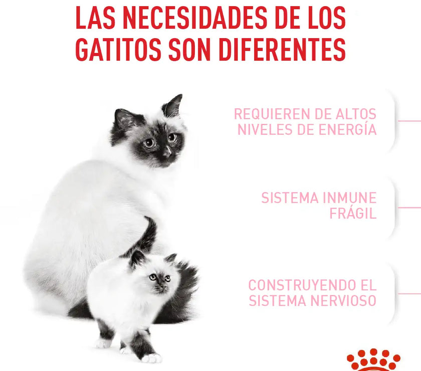 Alimento Royal Canin Fhn Mother&Babycat