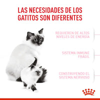 Alimento Royal Canin Fhn Mother&Babycat