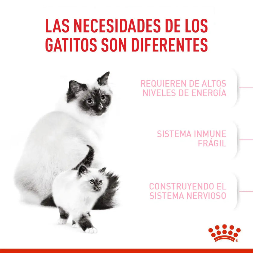 Alimento Royal Canin Fhn Mother&Babycat