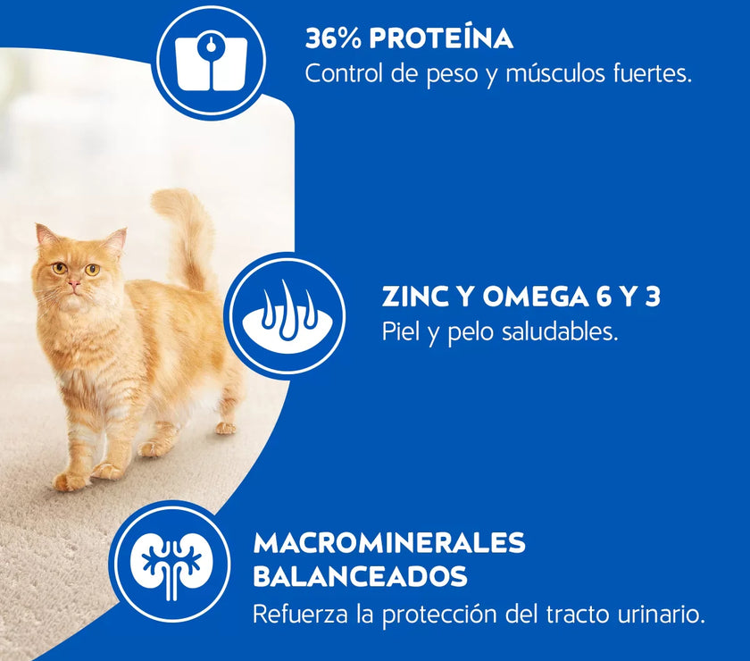 Alimento Para Gatos Purina Cat Chow Esterilizados x 1,5Kg