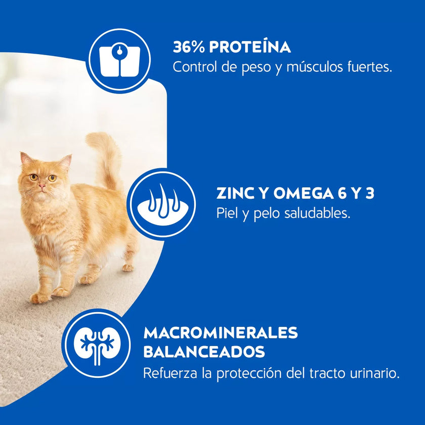Alimento Para Gatos Purina Cat Chow Esterilizados x 1,5Kg
