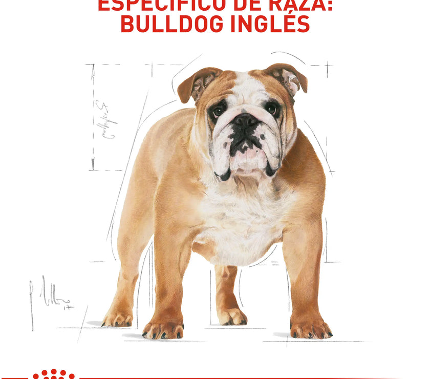 Alimento Royal Canin Bhn Bulldog Ingles Adulto