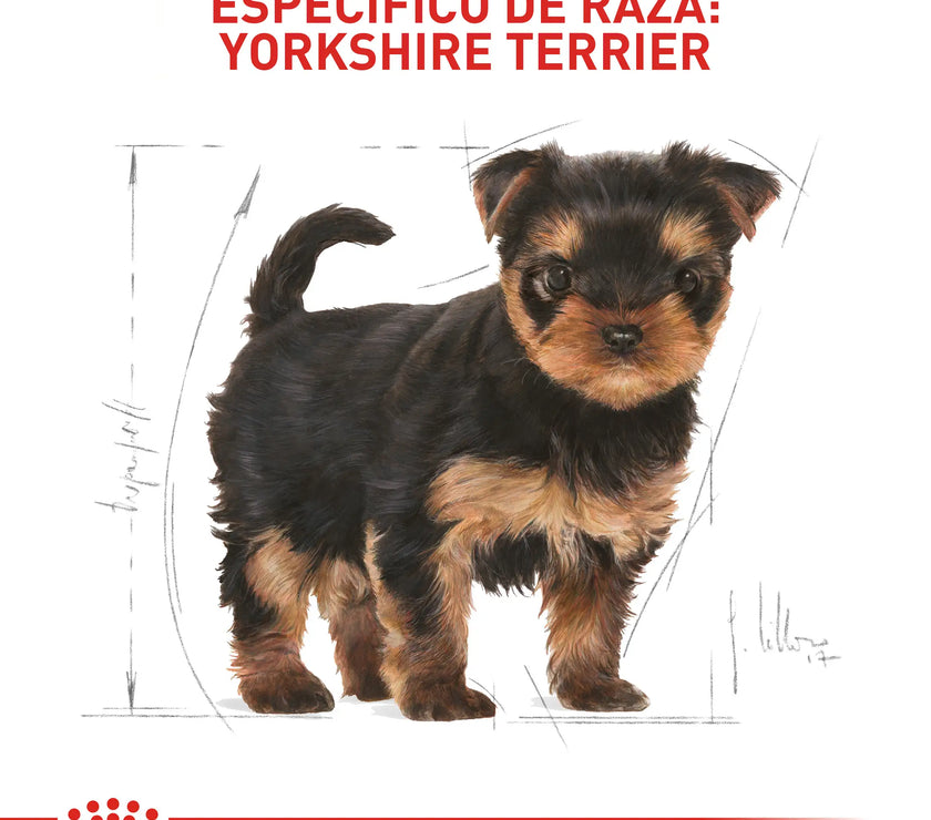 Alimento Royal Canin Bhn Yorkshire Puppy 1.13 Kg