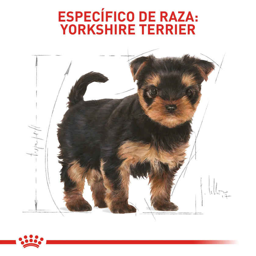 Alimento Royal Canin Bhn Yorkshire Puppy 1.13 Kg