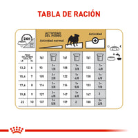 Alimento Royal Canin Bhn Pug Adulto x 3 Kg