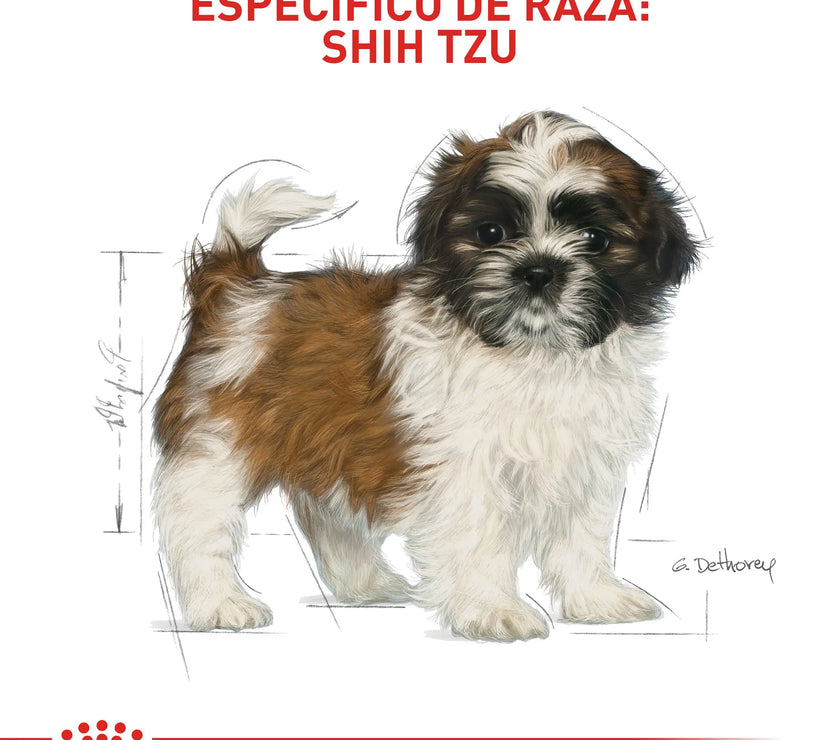 Alimento Royal Canin Bhn Shih Tzu Puppy 1.5 Kg