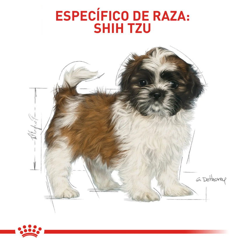 Alimento Royal Canin Bhn Shih Tzu Puppy 1.5 Kg