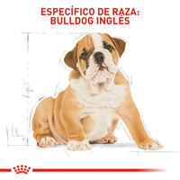 Alimento Royal Canin Bhn Bulldog Ingles Puppy