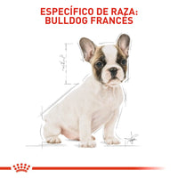 Alimento Royal Canin Bhn  Bulldog Frances Puppy