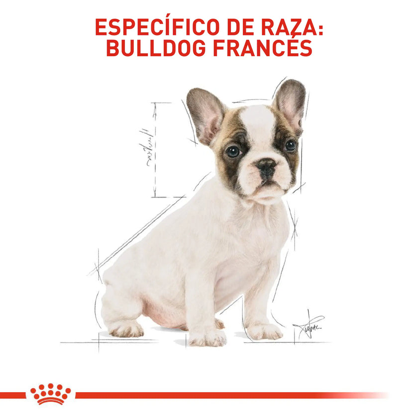 Alimento Royal Canin Bhn  Bulldog Frances Puppy