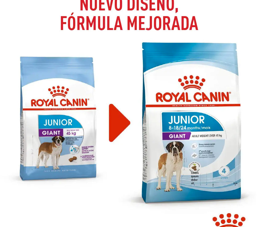 Alimento Royal Canin Shn Giant Adulto