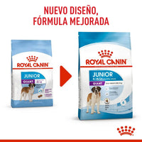 Alimento Royal Canin Shn Giant Adulto