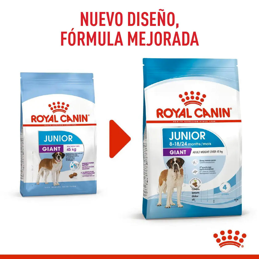 Alimento Royal Canin Shn Giant Adulto