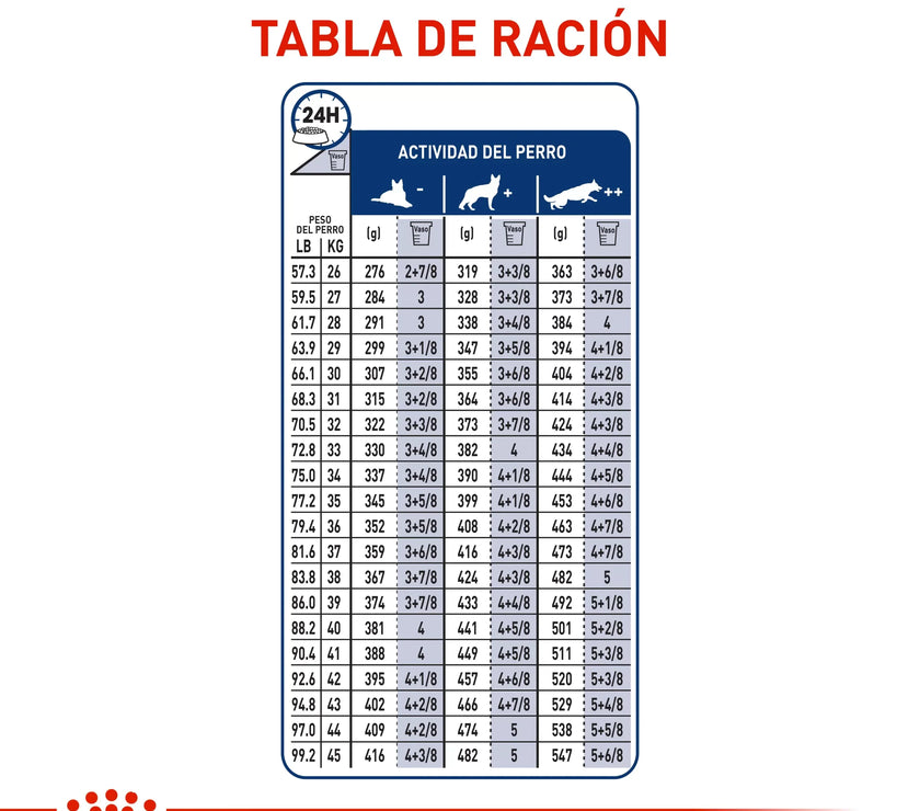 Alimento Royal Canin Shn Maxi Adulto - 4kg