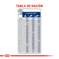 Alimento Royal Canin Shn Maxi Adulto - 4kg