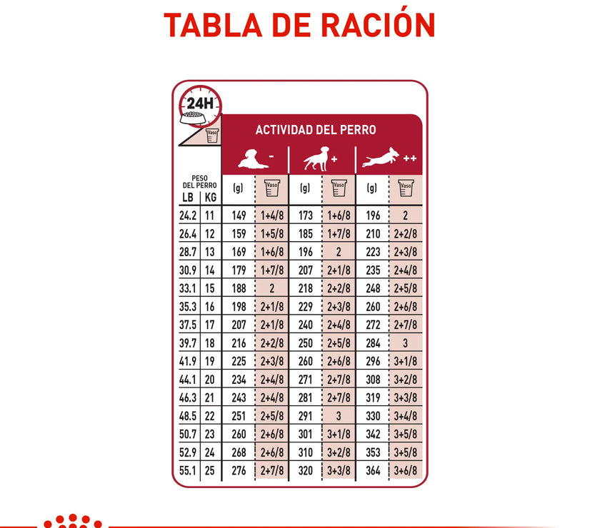 Alimento Royal Canin Shn Medium Adulto