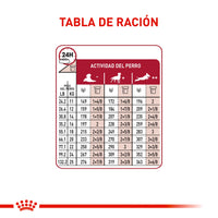 Alimento Royal Canin Shn Medium Adulto 7+ 4 Kg