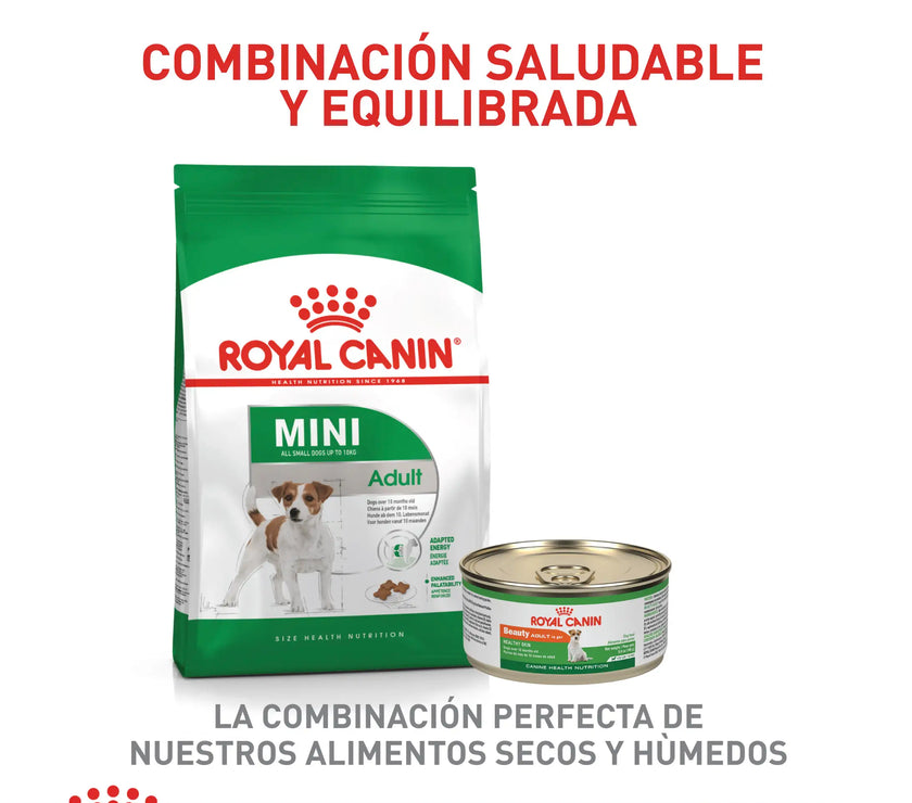 Alimento Royal Canin Shn Mini  Adulto
