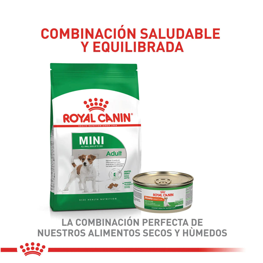 Alimento Royal Canin Shn Mini  Adulto