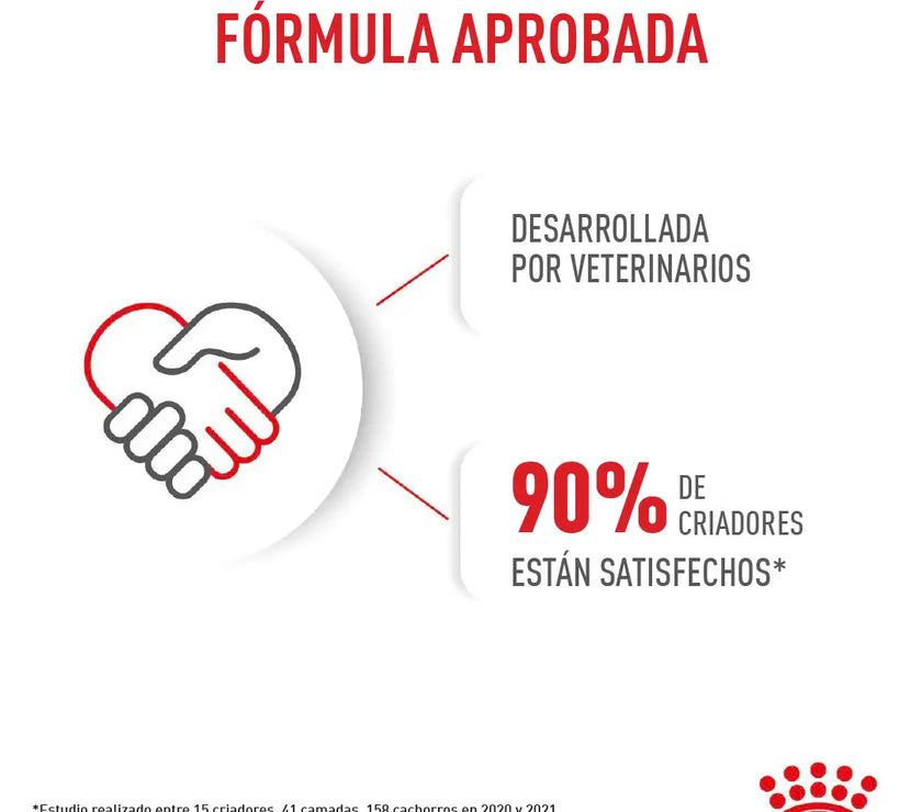 Alimento Royal Canin Shn Mini  Starter Mother & Baby Dog 1Kg