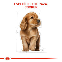 Alimento Royal Canin Bhn Cocker Puppy x 3 Kg
