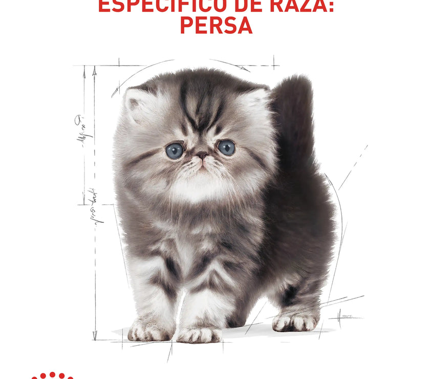 Alimento Royal Canin Fbn Persian Kitten 2 Kg